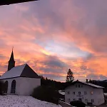 Taubennest *