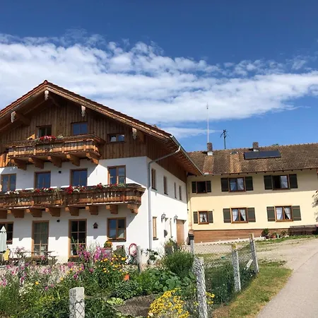 Taubennest